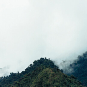 Axel Hütte
Alluriquin-1, Ecuador
2008
c-print
135x165cm/531/4x65in
Edition of 4
courtesy the artist and Daniel Marzona, Berlin