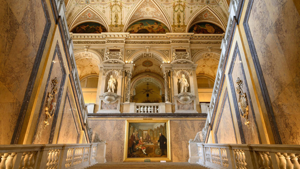 The natural order. Visualizing the structure of nature, exhibition view. Courtesy of Naturhistorisches Museum Wien