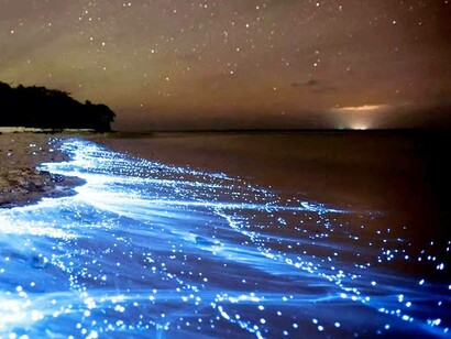 Spiagge luminescenti sulle rive del Makran Chabahar, Balochistan, Iran