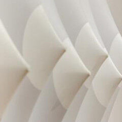 Zilia Sánchez. Courtesy of Phillips Collection