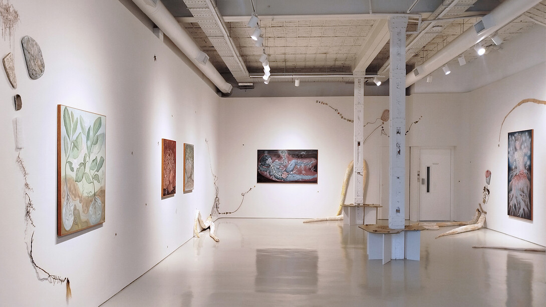 Marina Daiez, Ontogenia plantihumana, vista de exhibición. Cortesía de la Galería Nora Fisch