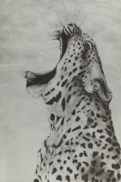 Leopard Sound on 12ct Gold Leaf, hand printed silk screen, 67x97cm 