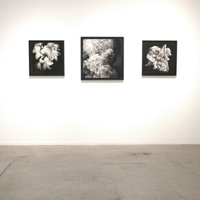 Joseph Stashkevetch. Courtesy of Von Lintel Gallery