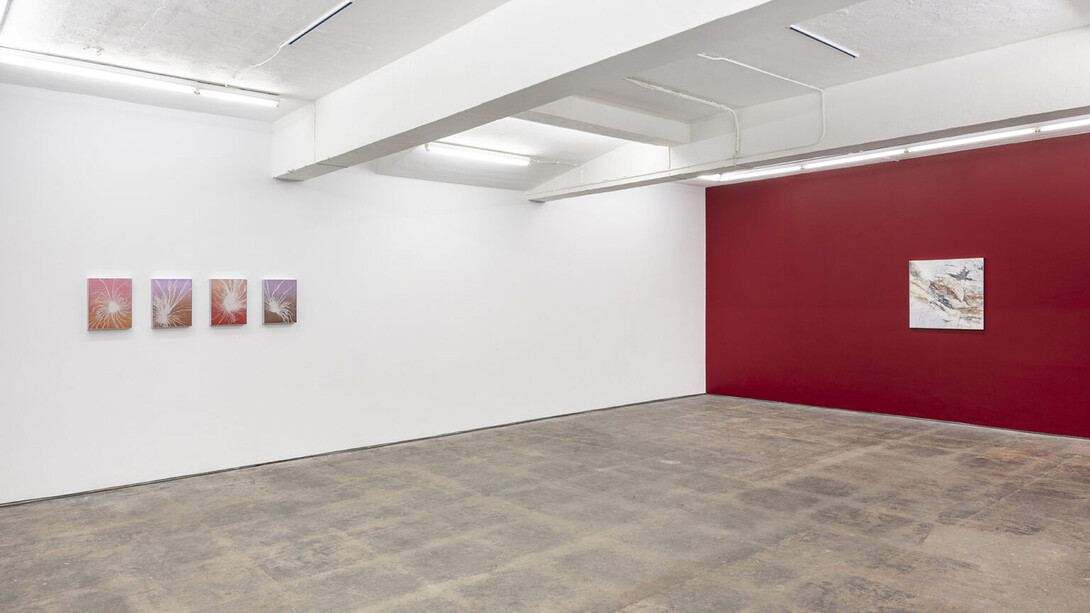 Gabriele Beveridge, Never ends, exhibition view. Courtesy of Seventeen Gallery