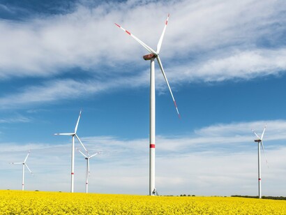 A modern wind farm stretching across a field, symbolizing China's strategy of balancing industrial growth with sustainable development