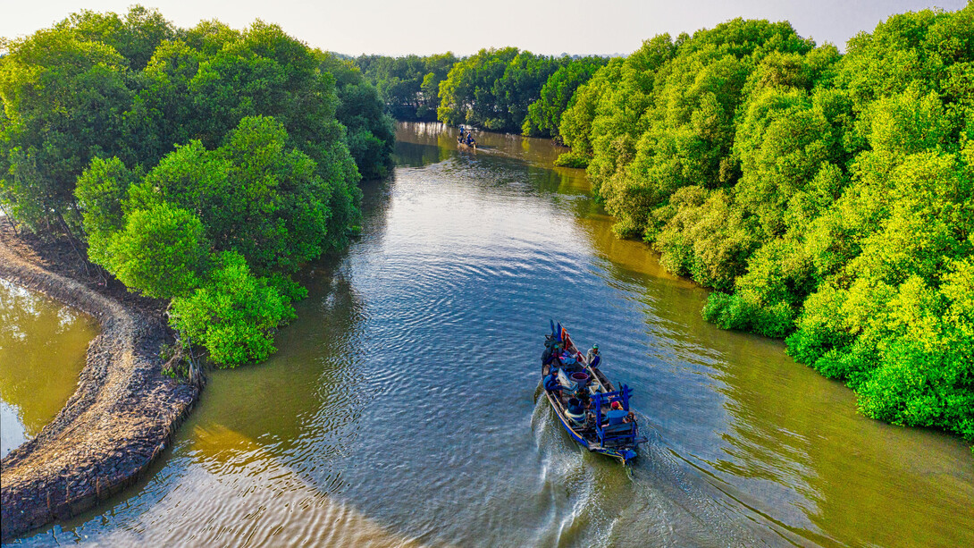 Descubra como a preservação das terras indígenas pode impulsionar a biodiversidade e a cultura, promovendo um ambiente mais sustentável e inclusivo