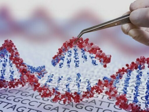 Ao nível da tecnologia animal, pode ser usado para introduzir melhorias nas espécies