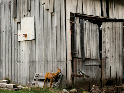Robin  Layton, LeBron James’ Childhood Hoop, 2012, Metallic archival print, 1/3, 40 x 60 inches 