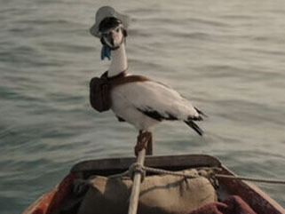 Los Coo de las Noticiass las gaviotas especiales que entregan los periódicos del Diario de Economía Mundial (DEM), dirigidas por Morgans, un Emperador del Inframundo