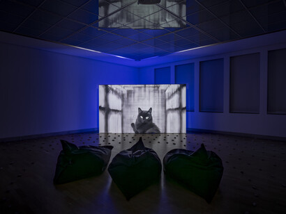 Femke Herregraven, The murmur of the dying. Courtesy of Kunstraum Niederösterreich