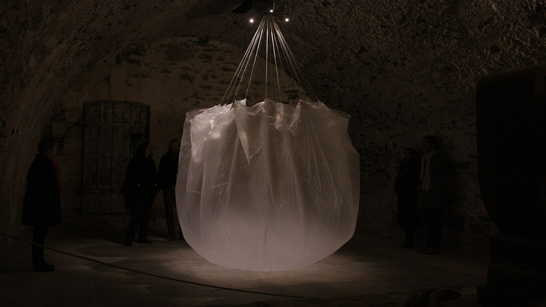 Maxime Boutin, Turritopsis Nutricula, 350 x 600 cm, 2013. Courtesy the artist