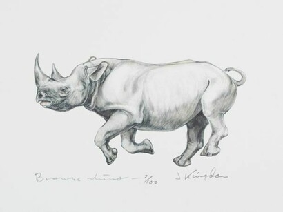Jonathan Kingdon, Browse Rhino