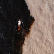 Emilija Škarnulytė, Æqualia. Courtesy of Tate St Ives 