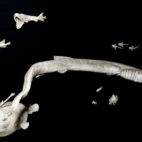 Oceanography. Courtesy of Deutsches Museum