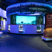 Our Living Languages. Courtesy of Royal BC Museum