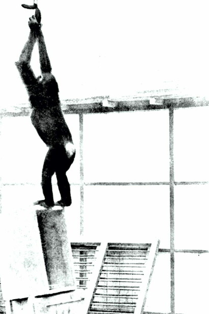Experimento de Koehler con chimpanzés