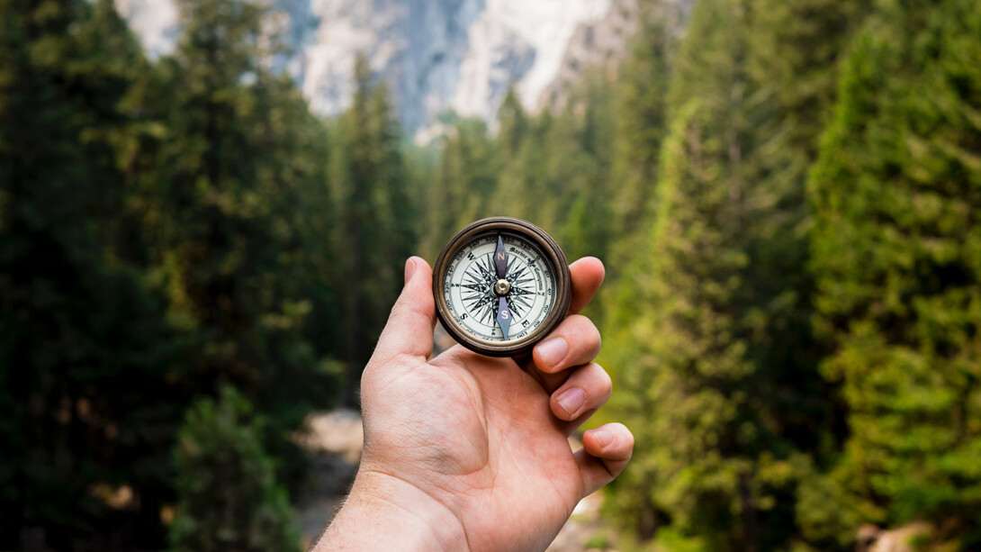 Soltanto il tuo vero sentire, il tuo desiderio di scoprire diventa la bussola che ti farà arrivare a vivere la vita per cui sei nato