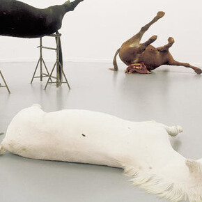 Sanguine/Bloedrood. Courtesy of M HKA