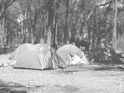 Camp nel Hwange National Park