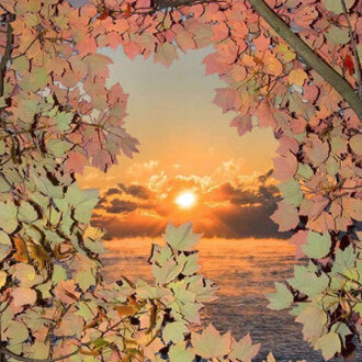 Kang Hee Kim. Courtesy of Benrubi Gallery