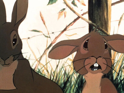 La collina dei conigli, film di animazione del 1978 diretto da Martin Rosen, tratto dal romanzo omonimo di Richard Adams