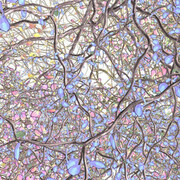 Jennifer Steinkamp. Courtesy of The Portland Art Museum