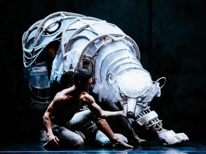 Recirquel Cirque Danse di Budapest, Solus amor, sotto la direzione dal coreografo Bence Vagi