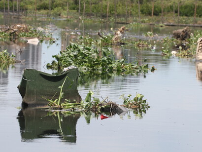 Lagoas transformadas em latas de lixo