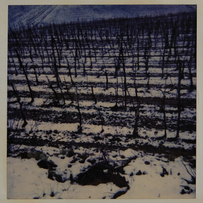 Germano Sartelli, Dallo scatto all'opera: Germano Sartelli e la polaroid, immagine in mostra (dettaglio). Per gentile concessione di Pallavicini22 Art Gallery