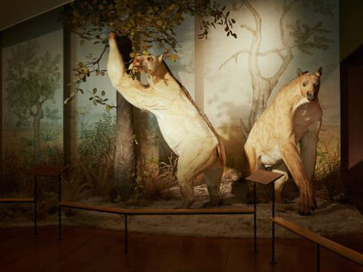 Mammoth & Sabre-Toothed Tiger. Courtesy of Naturhistorisches Museum Basel