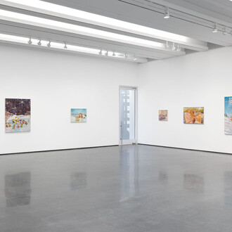 Keith Mayerson, My American dream (Rocky mountain high), exhibition view. Courtesy of Aspen Art Museum
