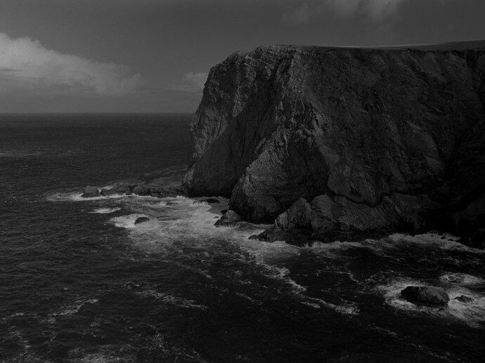 Amelia Stein, The White Promontory