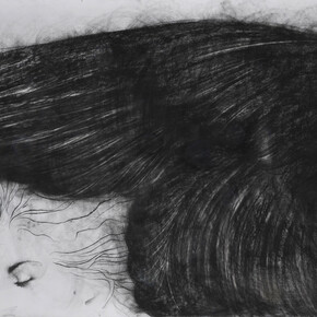 Omar Galliani, Altri voli (dettaglio), 2010. Per gentile concessione di CSArt - Comunicazione per l'Arte 