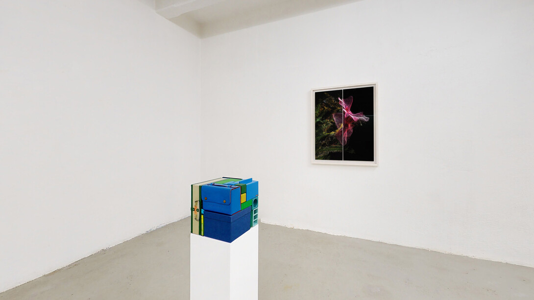 Michael Johansson, Crossfade - Blue/Green 2020 Ordinary items, 25x25x25 cm | 9¾x9¾x9¾ inches
Stefano Caimi, Phytosynthesis - Nerium oleander Jannoch, 2019 Custom software, inkjet fine art print on cotton paper, bleached Toulipier wooden frame, museum glass (zeroglass), 110x89,5x5,5 cm | 43¼ x35¼x21¼ inches