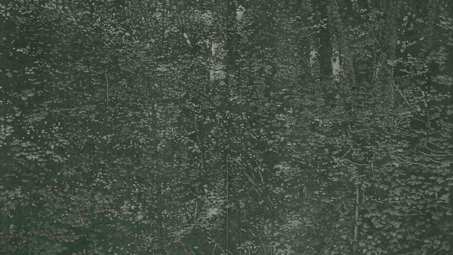 Franz Gertsch, Porträts und naturstücke, kunstwerke in der ausstellung. Mit freundlicher genehmigung des Museum Franz Gertsch