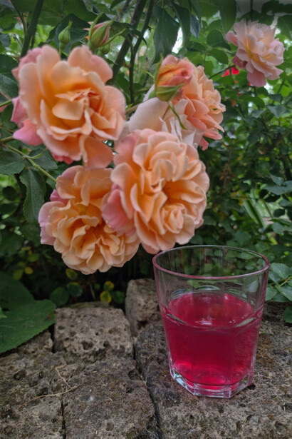 Acqua di rosa: dai petali della Rosa damascena si estrae l’essenza dall'aroma profumatissimo ed un colore quasi fucsia molto accattivante