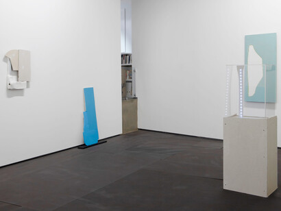 Gediminas G. Akstinas, Pose, exhibition view. Courtesy of PM8/Francisco Salas Gallery