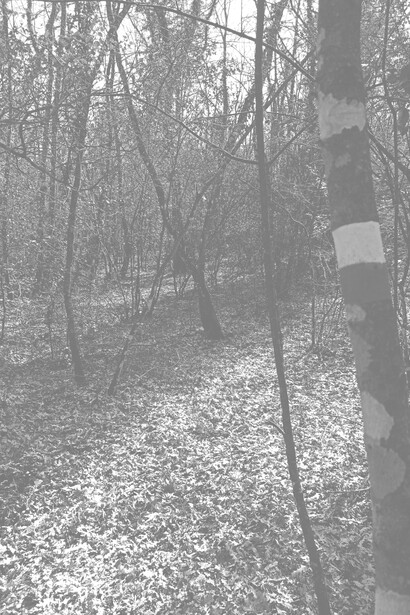 I borghi umbri, vere e proprie perle incastonate nel verde di una natura ancora incontaminata, meta del turismo green internazionale