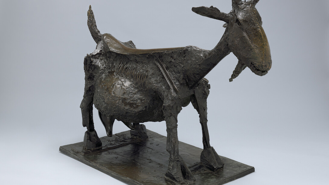 Pablo Picasso (Spanish, 1881–1973), She-Goat. Vallauris, 1950 (cast 1952). Bronze. 46 3/8 x 56 3/8 x 28 1/8″ (117.7 x 143.1 x 71.4 cm). The Museum of Modern Art, New York. Mrs. Simon Guggenheim Fund. © 2014 Estate of Pablo Picasso / Artists Rights Society (ARS), New York.