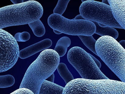 Il modello immunopatogeno sostituisce il modello patogeno in parodontologia