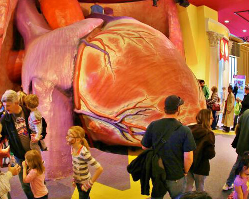 The Giant Heart. Courtesy of The Franklin Institute