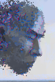 Artistic rendition of our own consciousness