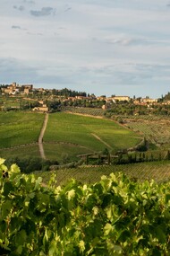 Il Vino Nobile di Montepulciano DOCG è uno dei più antichi e prestigiosi vini rossi italiani, amato fin dai tempi dei Medici. In copertina, una veduta di Montepulciano, Siena, Italia