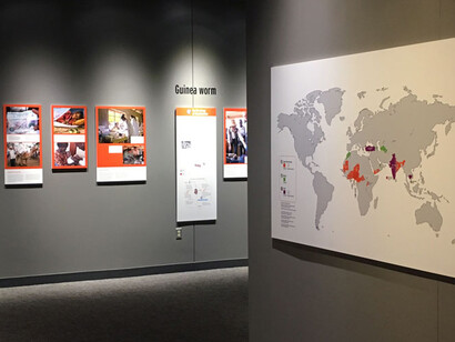 Defeating Disease. Courtesy of Museum of Science 