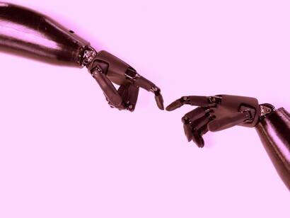 Do Homo sapiens ao cyborg