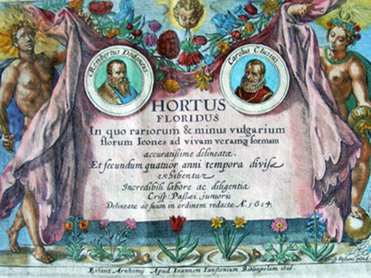 Hortus floridus di Crispijn van de Passe