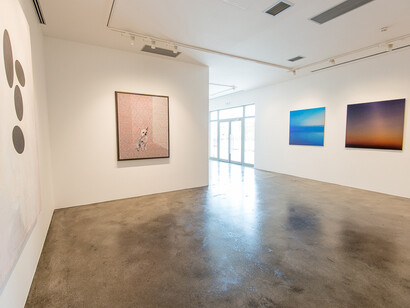 The Shock Of The New, Installation view