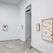Alberto Baraya, Viaje a Galicia, vista de exhibición. Cortesía de la Galería Fernando Pradilla