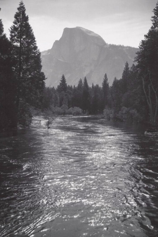 The 25th Anniversary Show. Courtesy of Scott Nichols Gallery