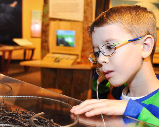 Making Models. Courtesy of Museum of Science 